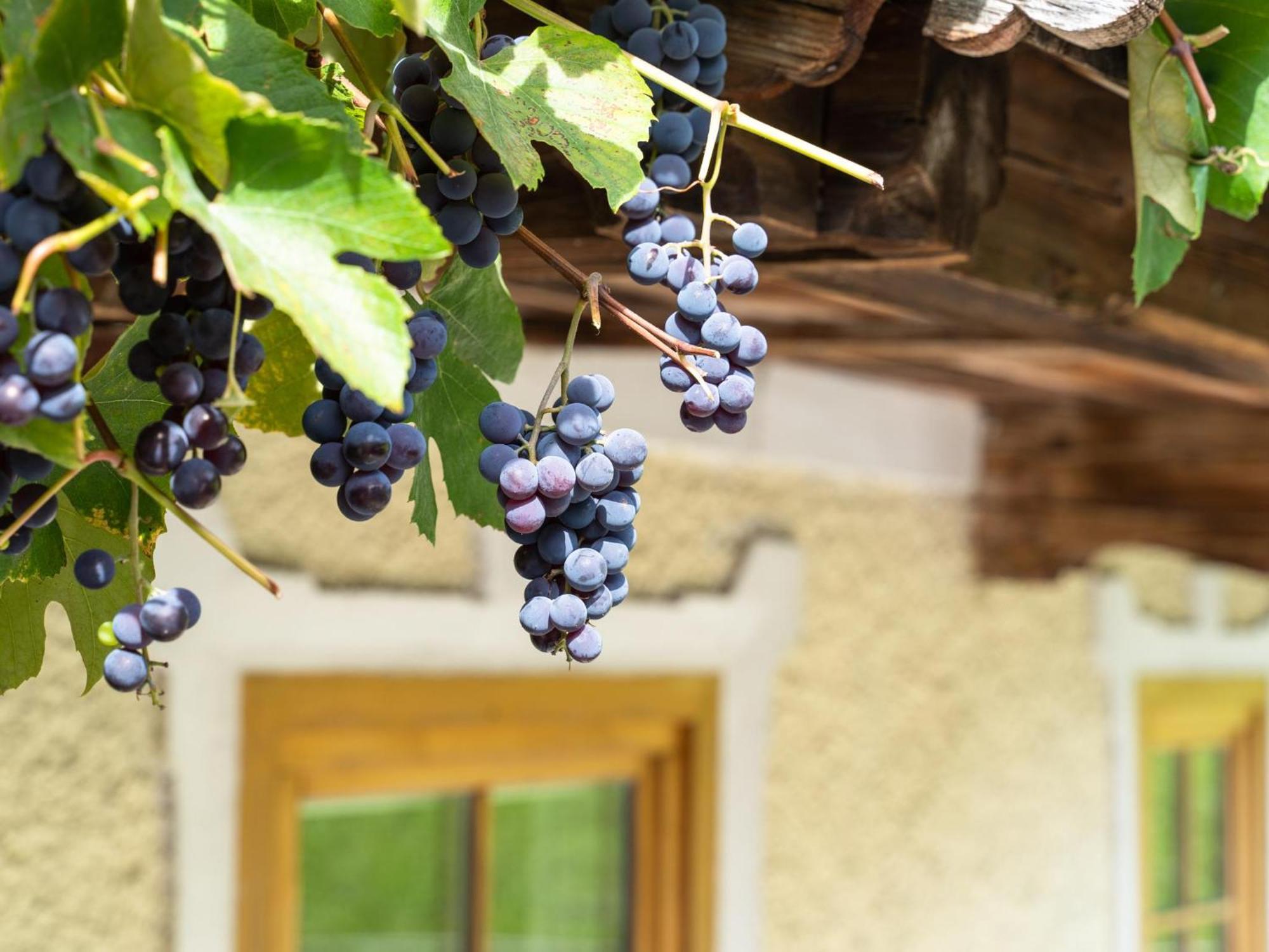 Chalet Anna Bruck am Ziller Zewnętrze zdjęcie